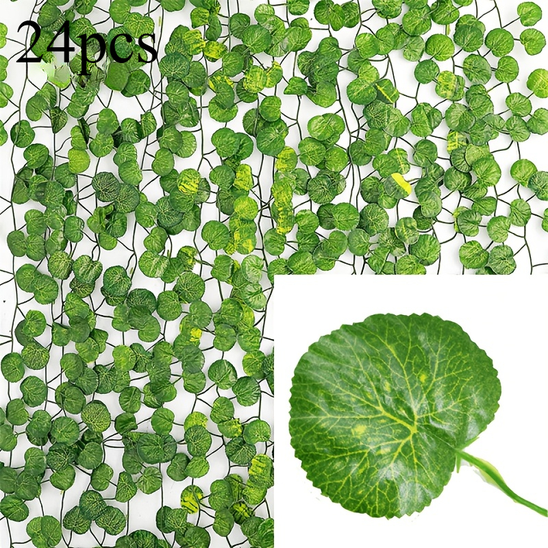 efeutute Grosse Efeutute Marble Queen | Epipremnum