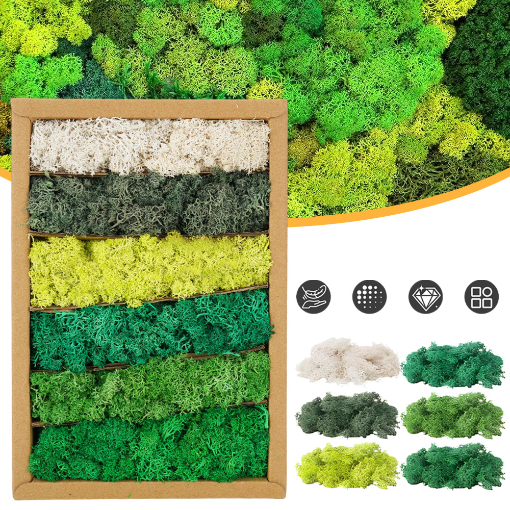 Preserved Moss Set With 6 Different Colors Natural Atmosphere For Pictures Crafts Decorations Home Office Artistic Decoration
