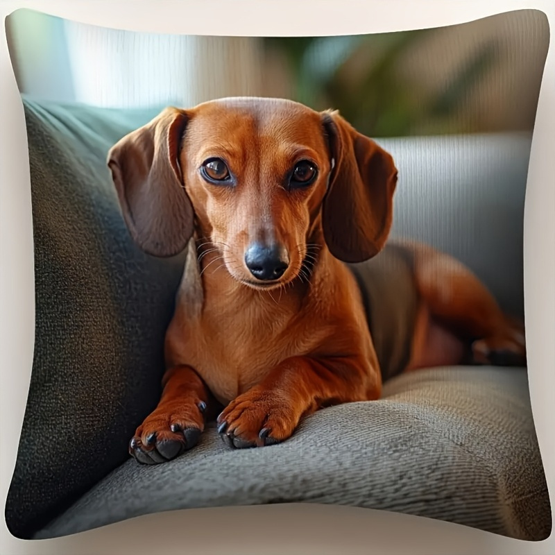 TEMU 1pc 2d Dachshund Print Outdoor Pillowcase, Multiple Sizes , Single-sided Print, Pillow Insert Not Included, Suitable For Indoor And Outdoor