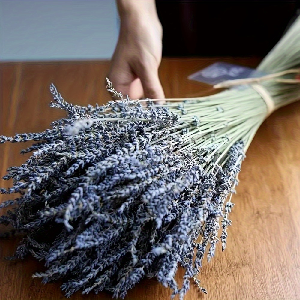 50pcs natural lavender and long lasting scent dried flowers for home decor soothing and purifying ambiance dried flowers dried flowers for crafts dried flowers for vase dried flowers for resin dried flower bookmarks