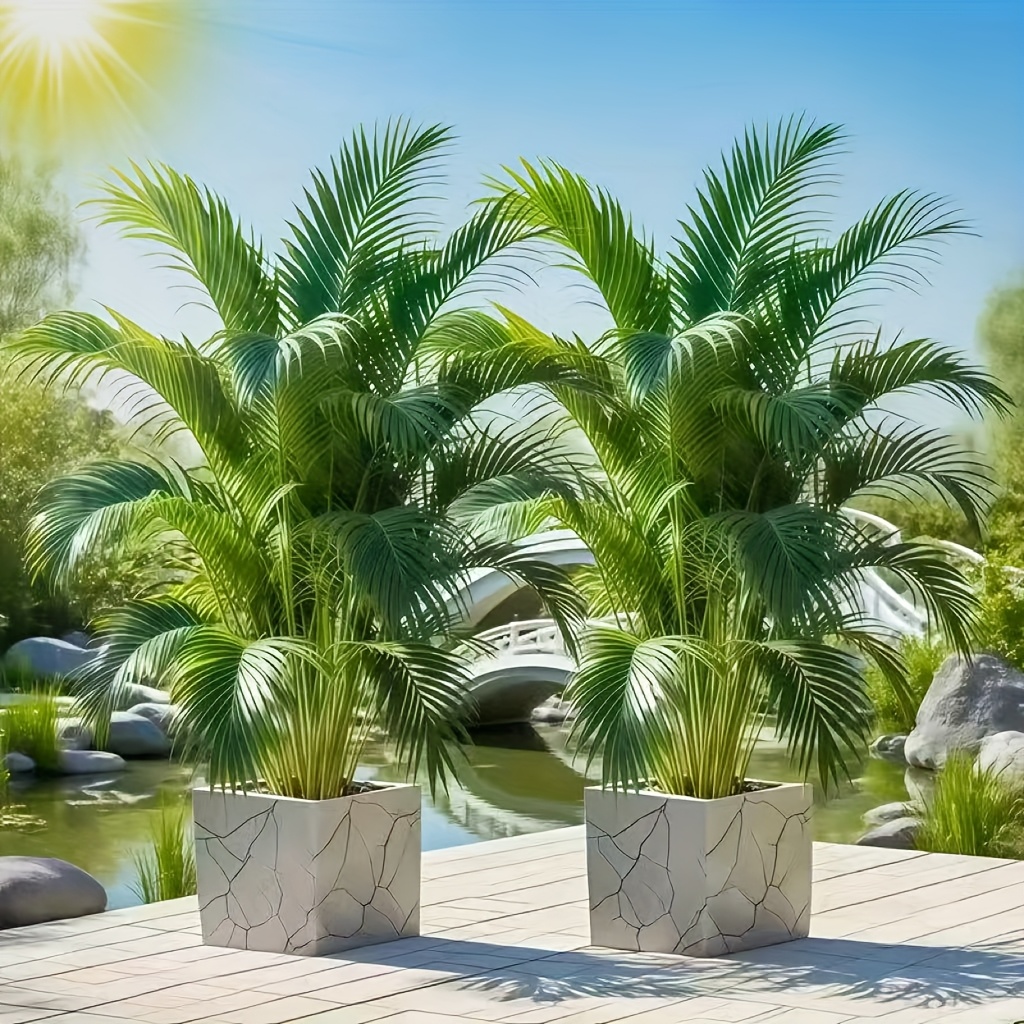 Juego de 2, árboles grandes de palma artificial de 26.2 pulgadas con cola suelta - Árboles de arce artificial de estilo tropical realista, belleza duradera - Cómodos sin esfuerzo para tu espacio - Acentúa tu jardín - Siente el aliento de la naturaleza. Follaje artificial minimalista moderno |