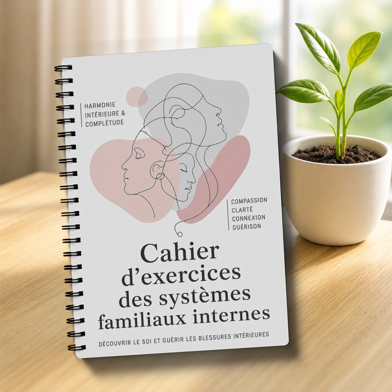 TEMU Cahier de travail des systèmes familiaux internes en , journal de travail des parties de l'IFS avec pages de de l'IFS, feuilles de de