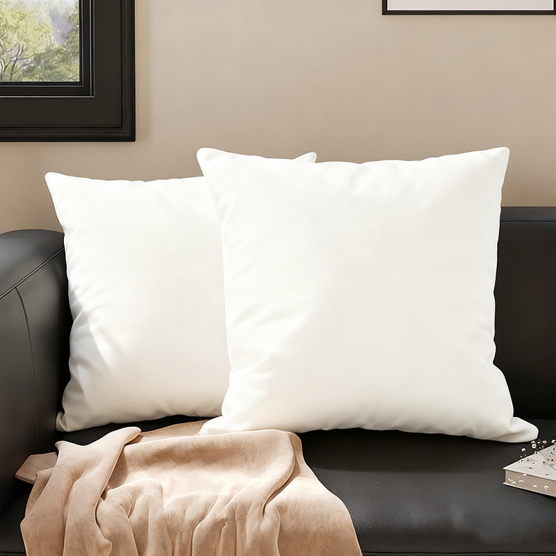 TEMU Ensemble de 2 taies d'oreiller blanches imprimées, housses de coussin carrées douces et amovibles en , adaptées pour la décoration du salon, de