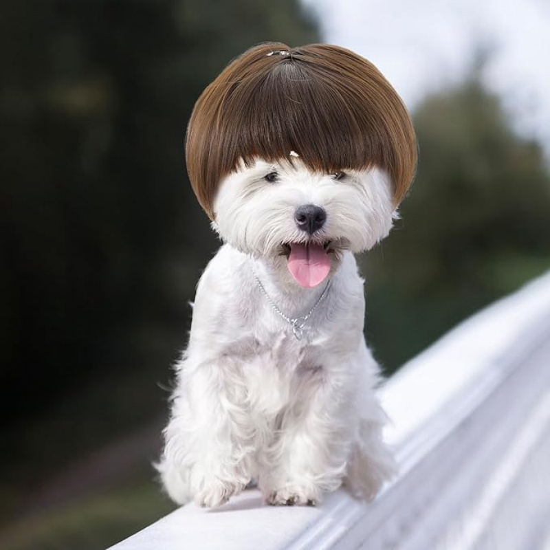 event ready adjustable funny dog wig small medium pets brown