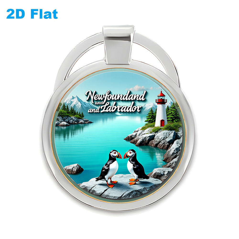 TEMU 2d Flat, 1pc 2d Flat, " And Labrador Themed Cartoon Keychain, Exquisite And Lighthouse Pattern, Stylish And Accessory, Suitable For Car Keys And