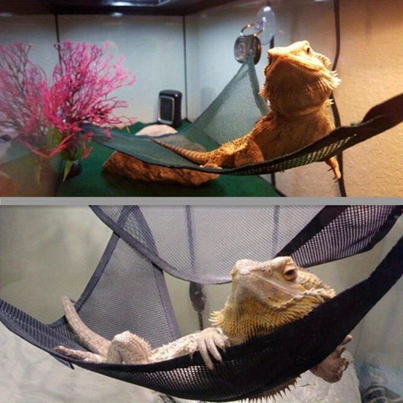 Reptile Hammock Lounger Ladder Accessories Set for Large Small Bearded  Dragons Geckos Lizards or Snakes Reptile Accessorie