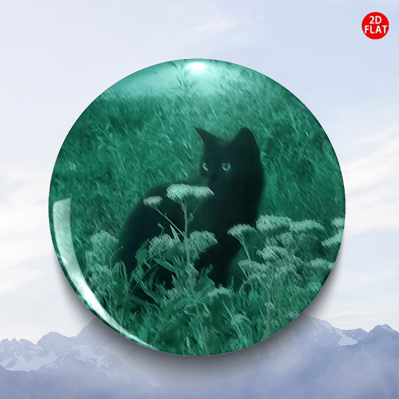 TEMU 2d Flat, 2d Flat Green Black Cat 2026 Latest Cartoon Anime Plastic Pin/brooch/badge, Suitable For Small Accessories Like Clothing, Hats,