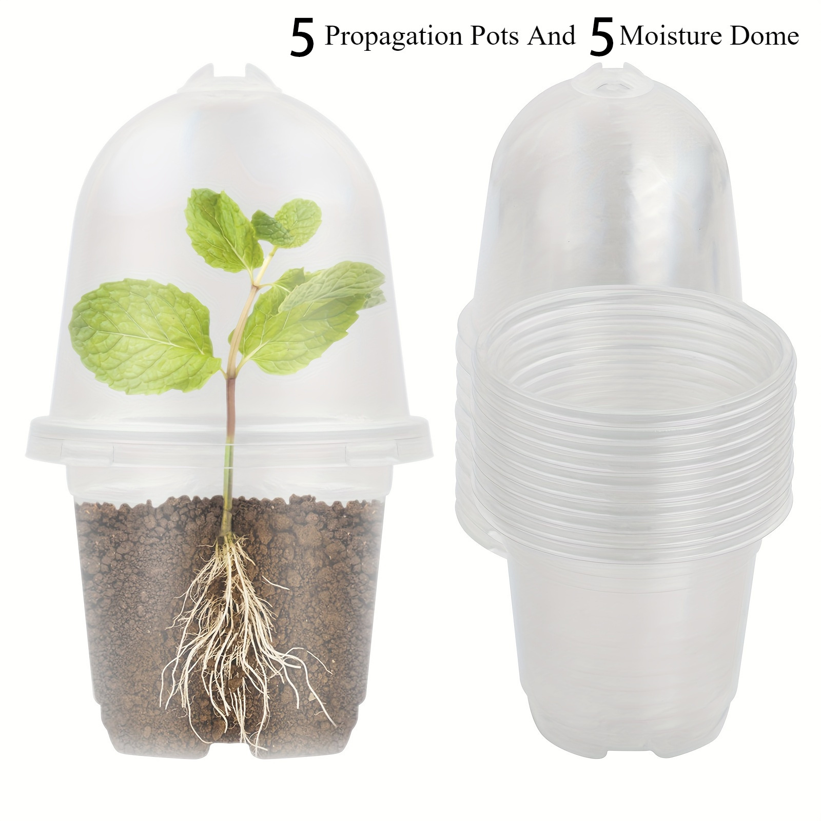 Image of A Collection Of Plastic Plant Containers, Including 5/10 Clear Propagation Pots And 5/10 Moisture Domes, Suitable For Growing Orchids, Seeds, Seedlings, Succulents, And .