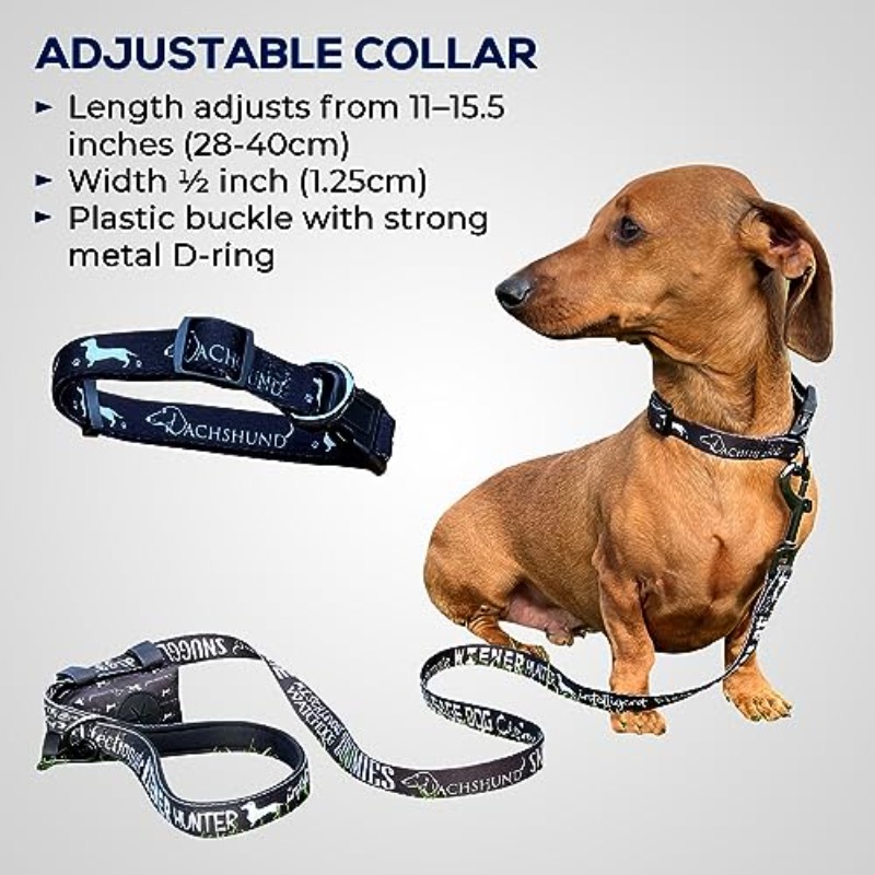 Dachshund Leash and Collar Set with Anti-Twist Lead, Padded Neoprene Handle & Accessory Bag Suitable for Standard/Miniature Dachshunds, Collar for Standard and Dogs, Leash for Training, Daily Walks, and Puppy Care