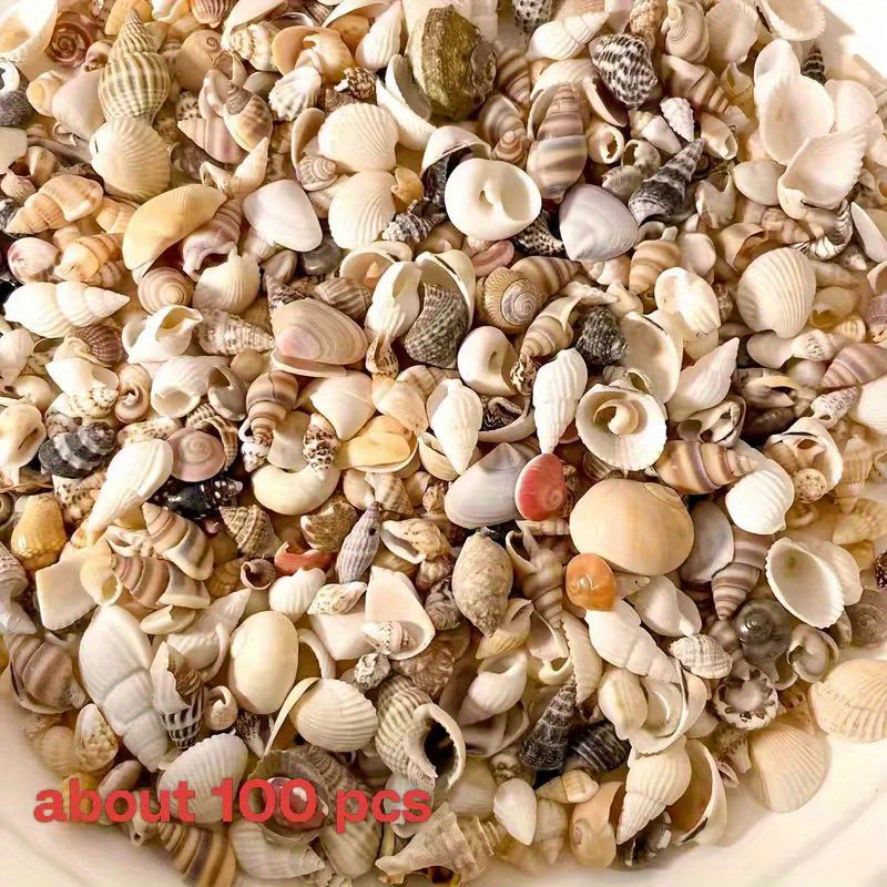 100/500pcs Conchas Miniatura Surtidas - Empaquetado Multicolor, Ideal para Manualidades, Pinturas Decorativas, Adornos de Jarrones y Proyectos DIY | Aspecto Natural | Variedad de Conchas, Decoración con Mariscos