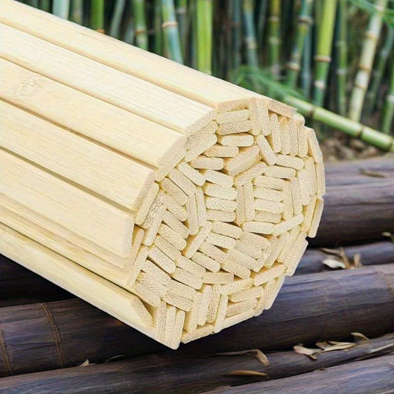 peruvian torch cactus seeds Trichocereus Cactus Seeds Pachanoi, Peruvianus, Bridgesii, Scopulicola, Hybrid seed & others For Sale 8. Tricho Pachanoi New Zealand OP 25 count Seeds main image 1