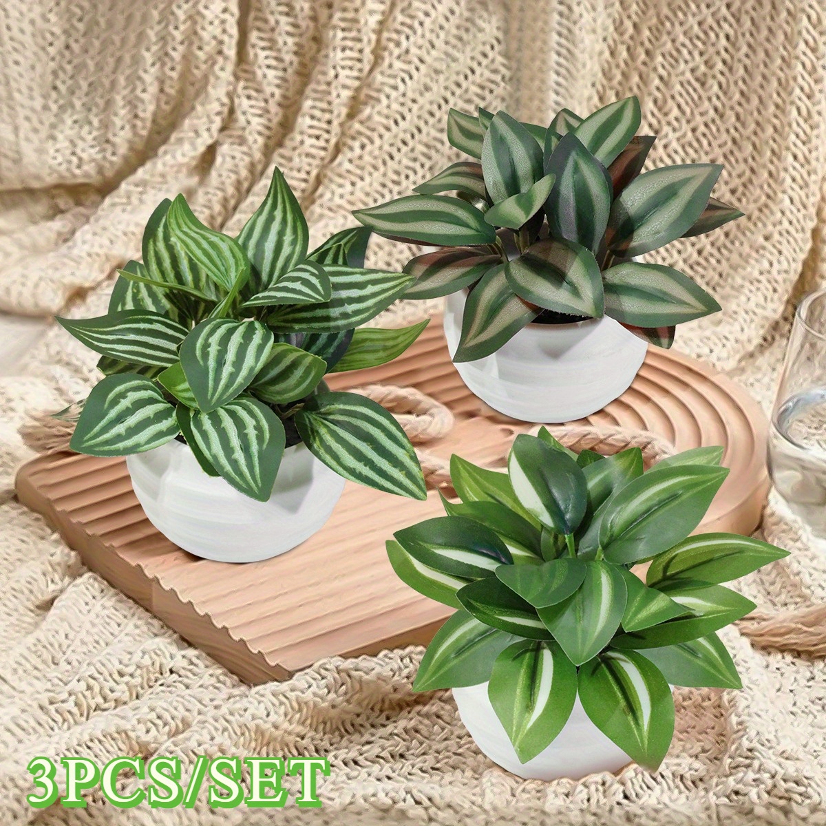 Image of 3pcs Per Set Artificial Potted Plants Fake Leaf Fittonia, Leaf, Peperomia, Leaf Mini Bonsai Pink, Green, Pe Material Outdoor Party Decorations, Garden Decorations, Spring And Summer Home Decor