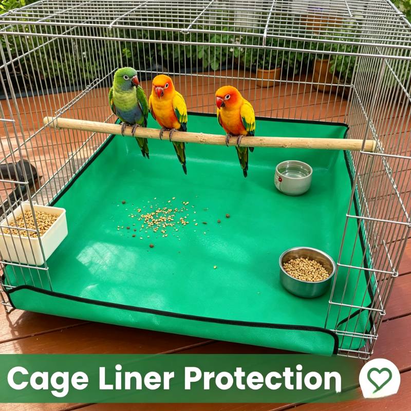 TEMU Leak-proof, Thickened And Wipeable Pet Base, Easy-to-clean Household Parrot Cage Cleaning