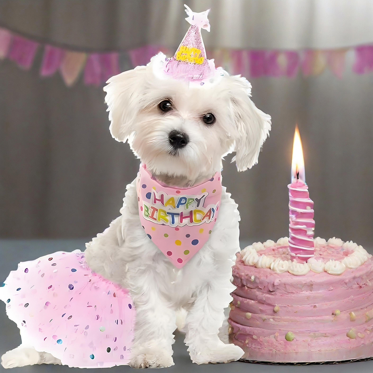 dog birthday bandana with hat and dress girl set, puppy birthday party  supplies, cute pink tutu skirt outfit for small medium large dogs - pet  supplies - Temu