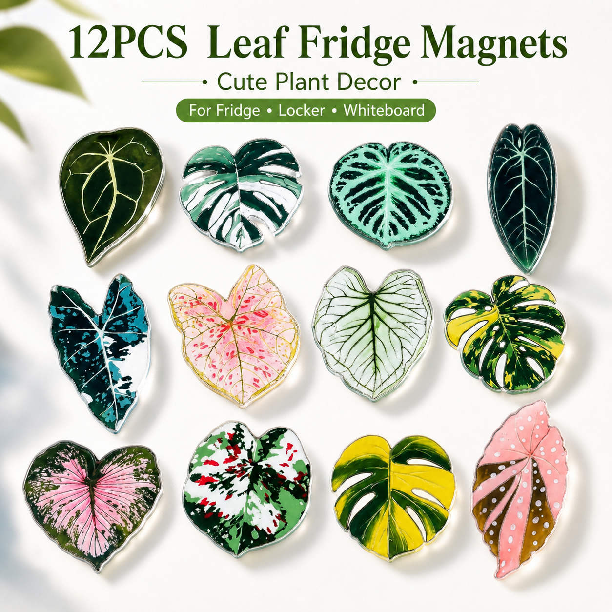 TEMU 12pcs Leaf Acrylic Fridge Magnets, Colorful Plant Theme Glossy Magnetic Decorative Stickers, Exquisite Printed Leaf Vein Texture Multi-leaf