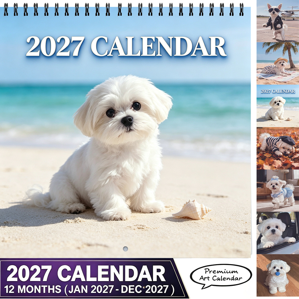 TEMU Calendrier mural 2027 Chien Maltese , 21 cm (8,3 pouces) carré, style plage , calendrier mural mensuel, décoration murale et , cadeau de Noël,