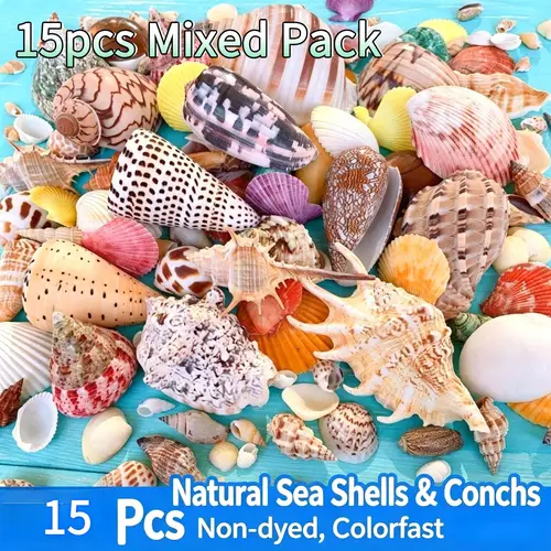 Counch Shell Fish sea shells sold on Temu United States
