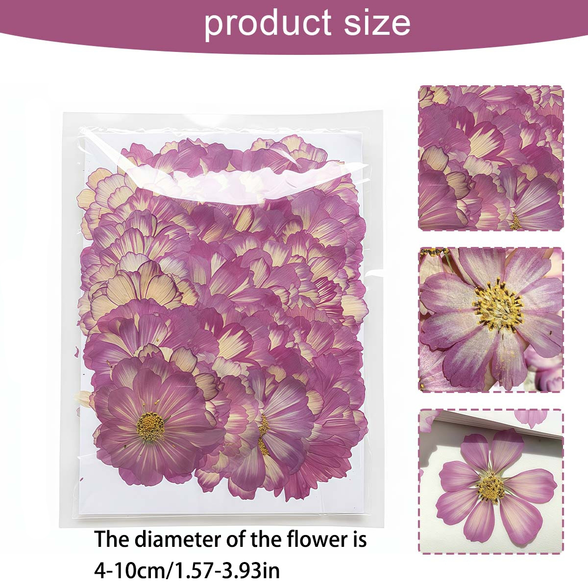 Image of 24pcs Dried Pressed Flowers For Resin Crafts - Daisy Small Natural Flat Real Dried Flowers Bulk Kit For Diy Resin Crafts, Bookmarks, , Soap & Candle Making, Wedding Decoration
