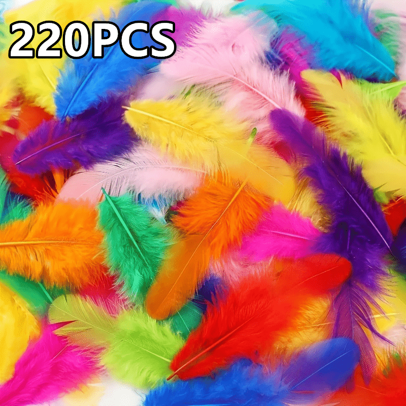 Image of 220pcs Of Assorted In Pastel And (including Pink, Blue, Green, Yellow, Purple, Orange, Red, Black, White, And Turquoise) Suitable For Projects, Such As Dream Catchers, Masks, Wands