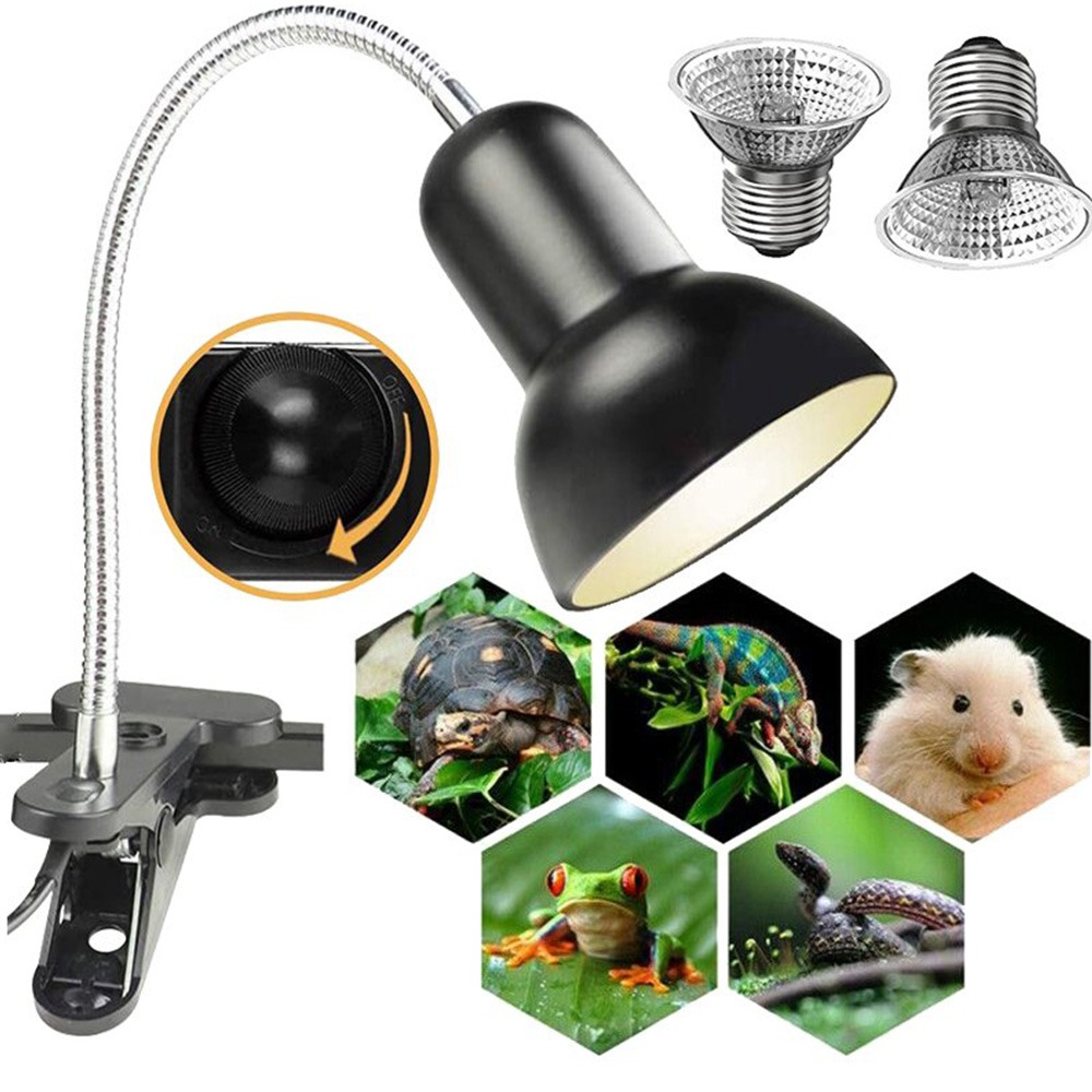 Reptile Product With Clamp Stand, 360° Rotatable Reptile Kit For Aquarium Turtle Lizards Terrarium