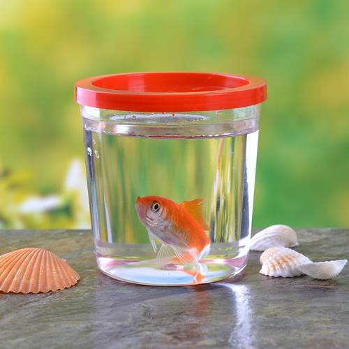 26pcs fish tank mini aquarium tank fish cups bowls for small fish and tortoise clear aquariums ideas color random