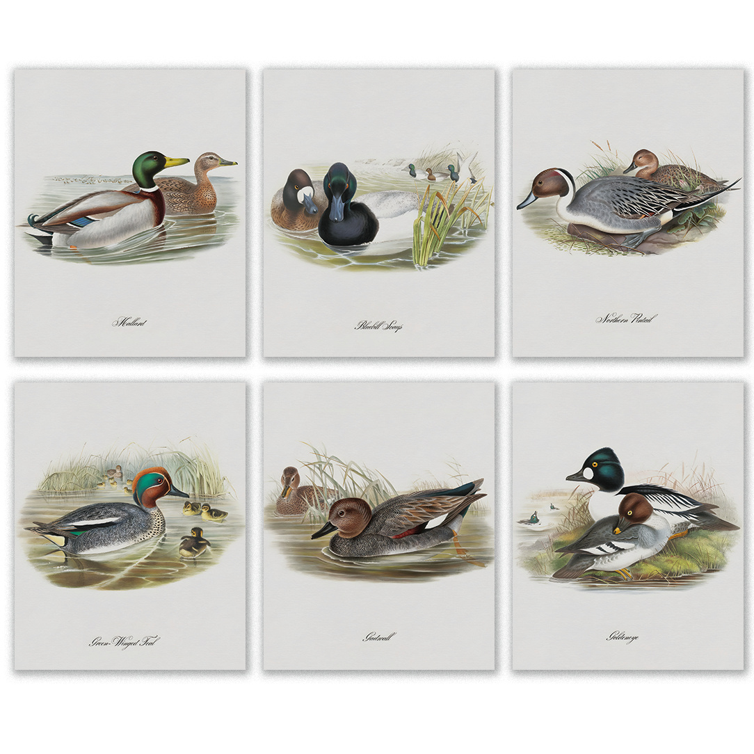 TEMU 2d Flat, 2d Flat, Set Of 6 Vintage Duck Prints Without Frames, Perfect Rustic Wall Art For A Lake House, Ideal For Cave, Office, Bedroom, Or