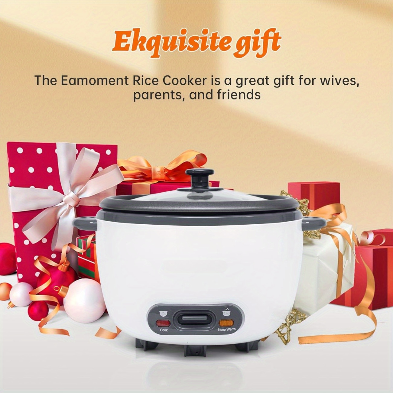 mini rice cookers sold on Temu United States