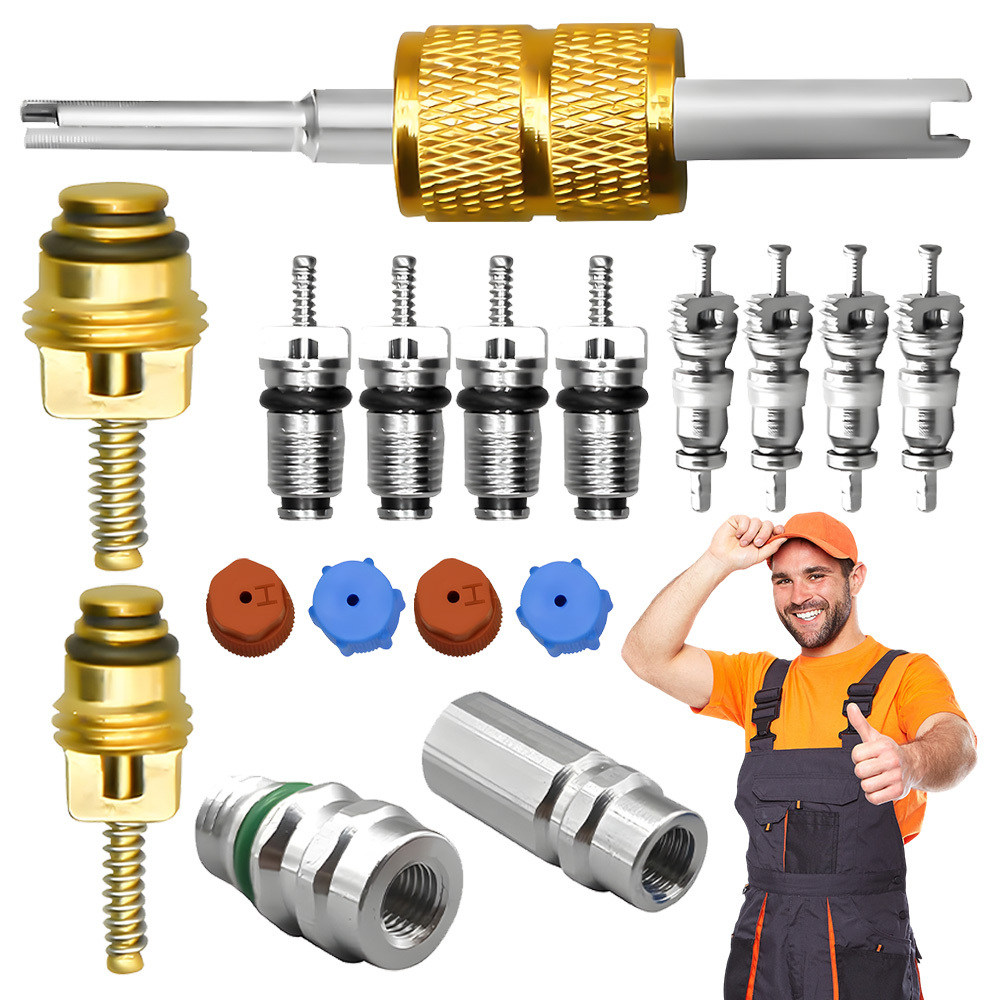 Air Conditioning Core Kit 17pcs For R12 To R134a Conversion, Double-headed Disassembly Tool And A/c Service Valves For Auto Ac System Maintenance