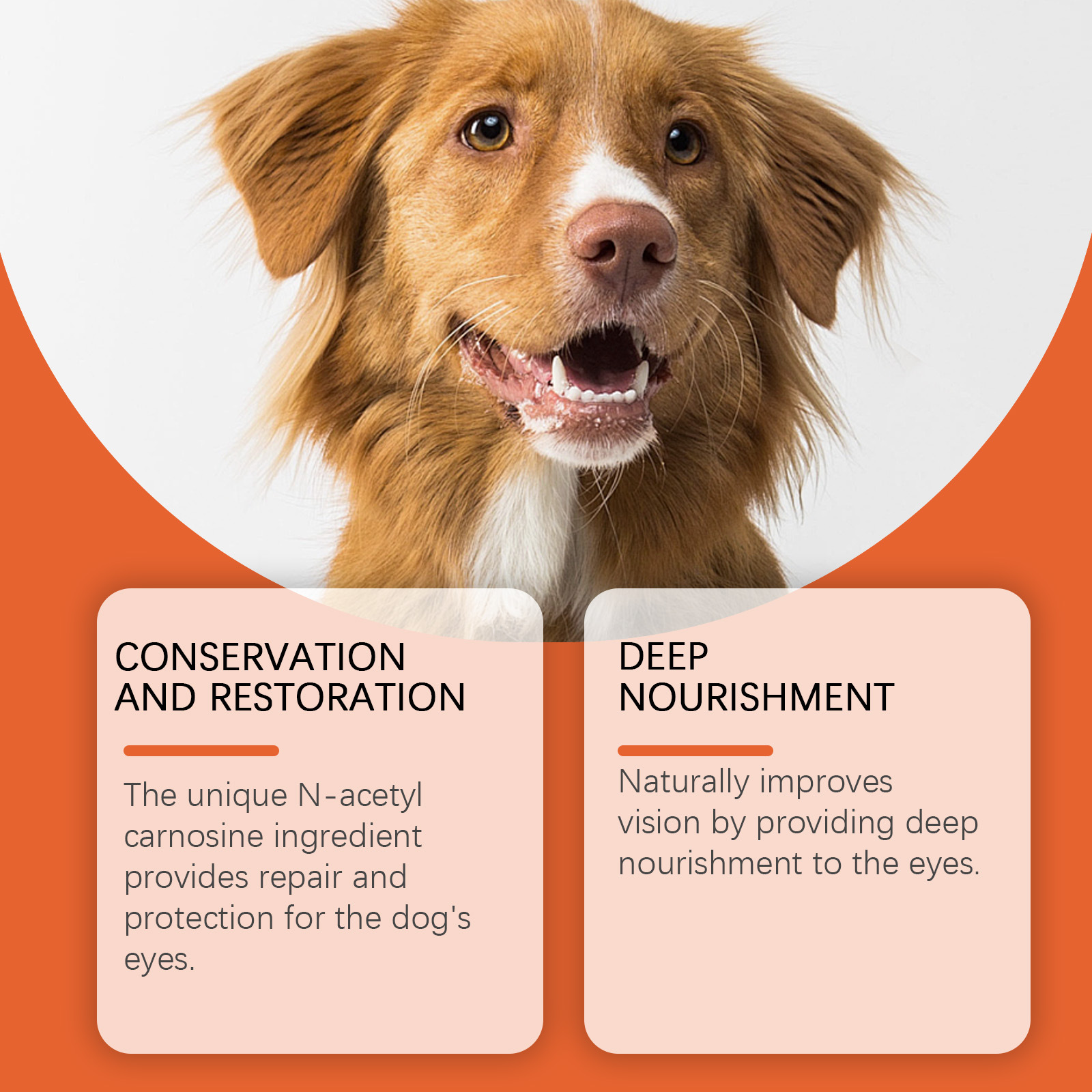 Yegbong Advanced Eye Drops for Dogs, 10ml/0.34fl.oz, Promotes Eye Clarity, Premium Pet Eye Care Solution, Effective Eye Health Support for Canine, High - Quality Dog Eye Drops for Global Pet Owners