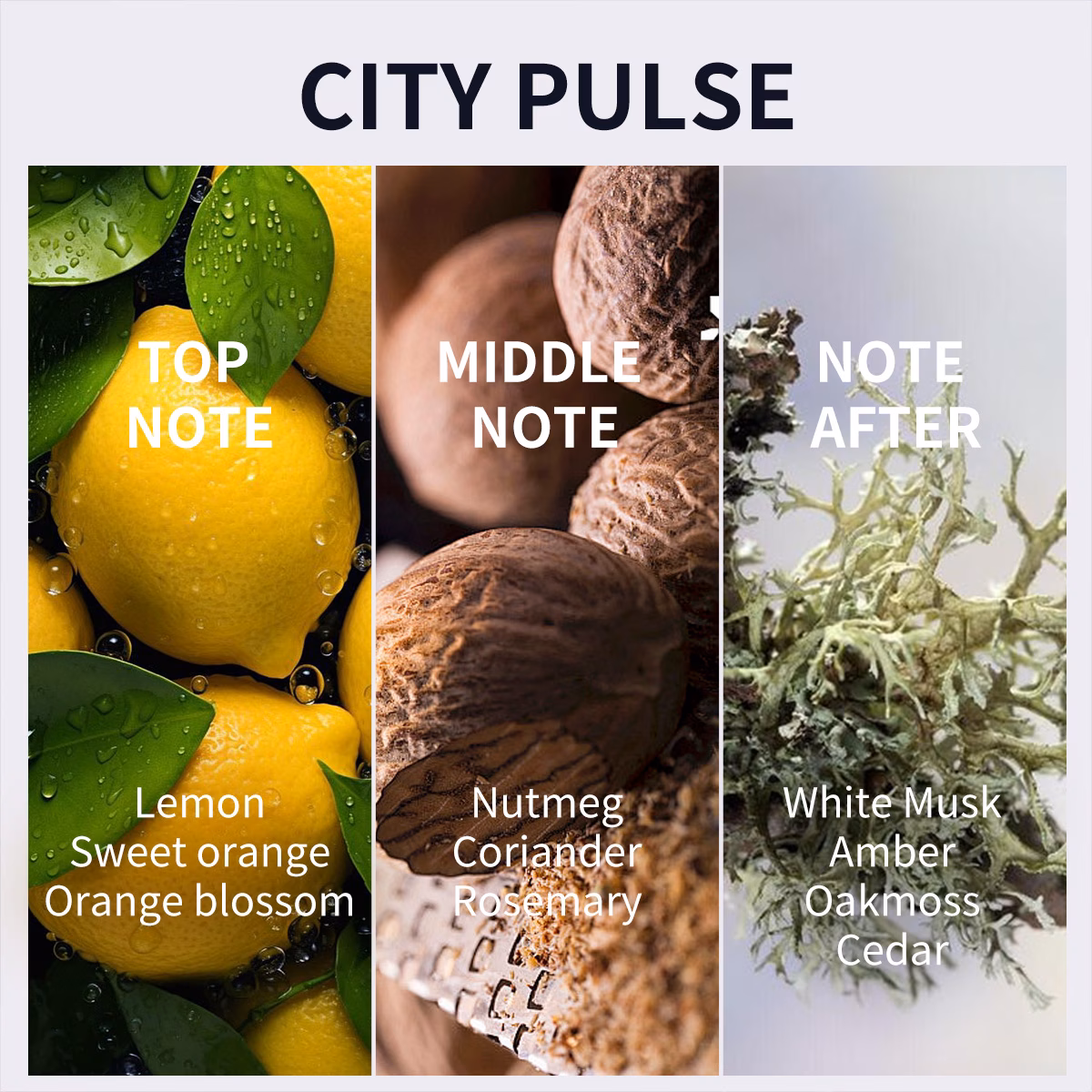 50ml mens cologne mens body deodorant spray floral sip notes a blend of lemon orange scent dating party travelling use christmas birthday gift for friends Product details 1