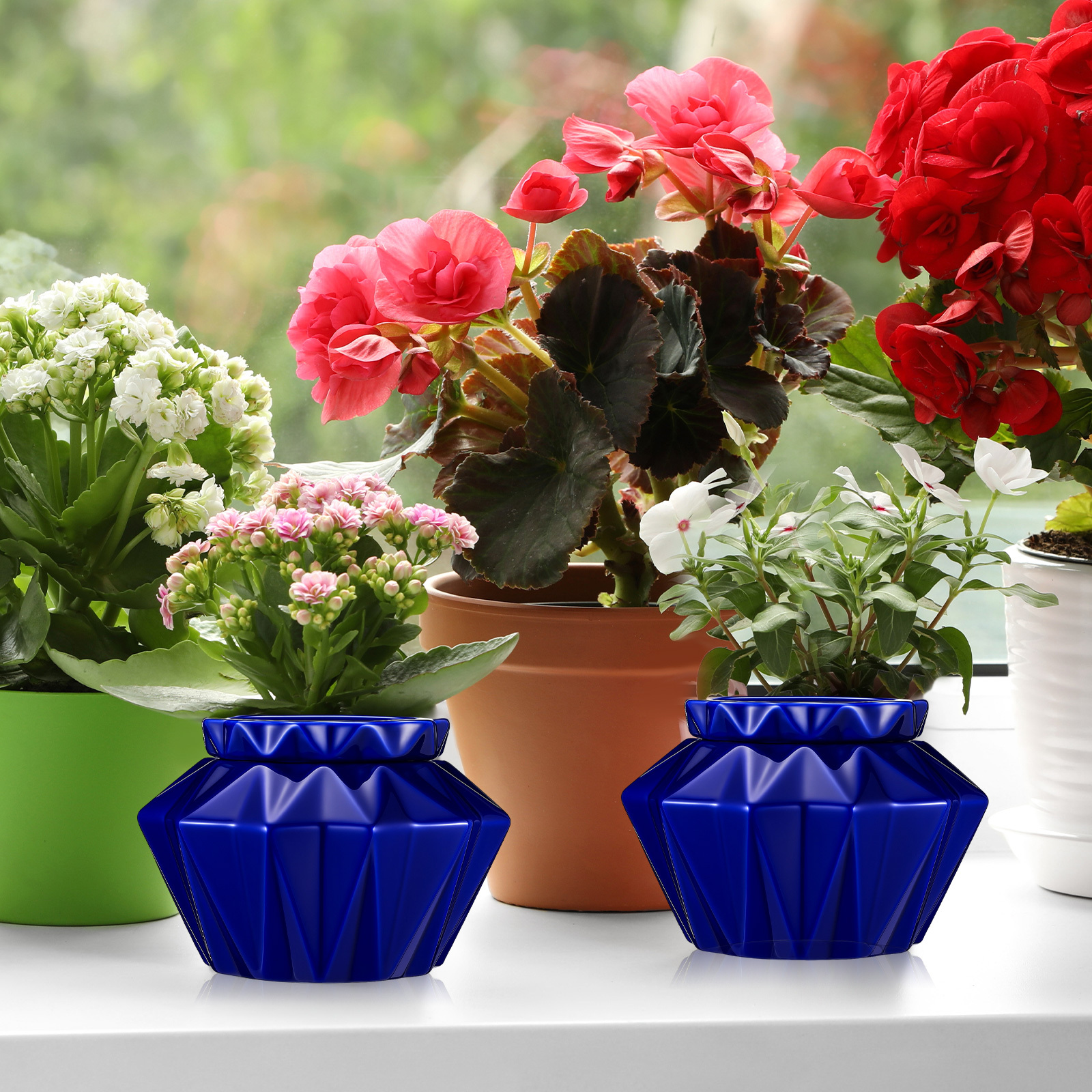 african violet pots sold on Temu United States