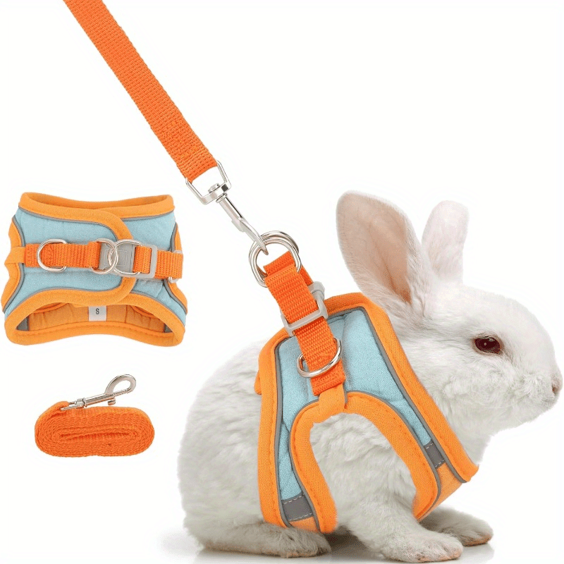 Dit is een tuigje en riemset gemaakt van verstelbaar, reflecterend materiaal