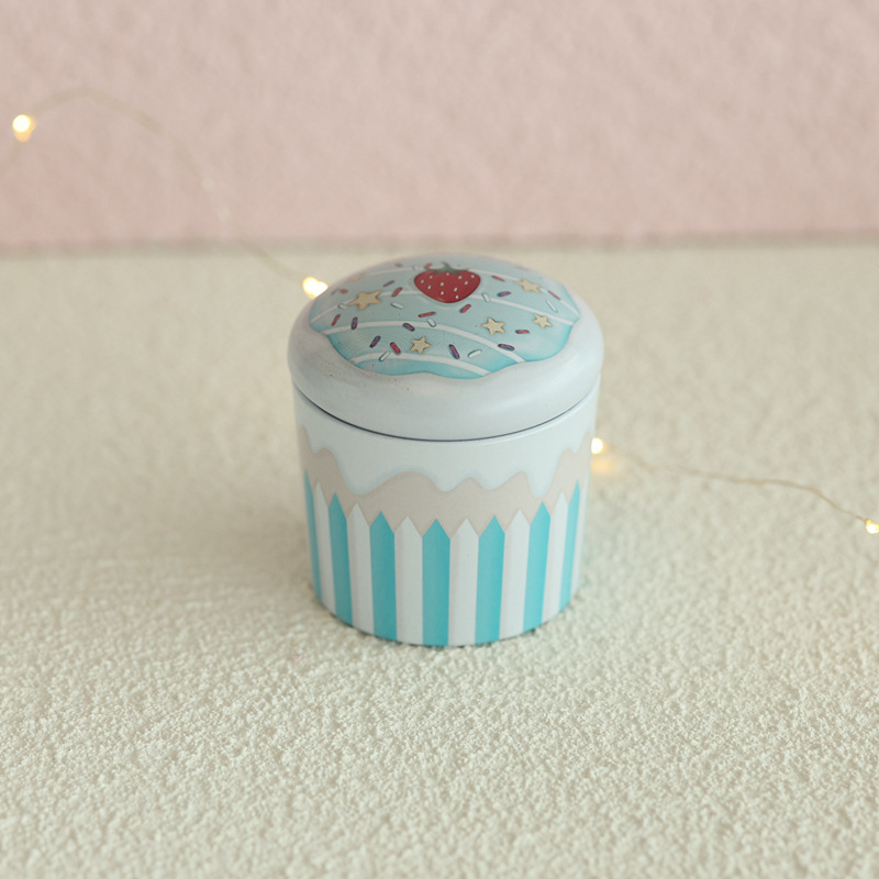 Mini Metal Decorative Can, Multifunctional Storage Box