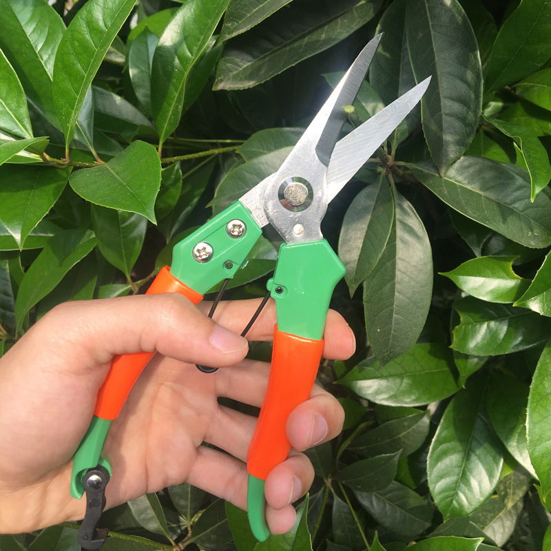 2pcs pruning scissors grape picking scissors garden tools fruit tree scissors thick branch flower scissors labor saving branch pruning gardening