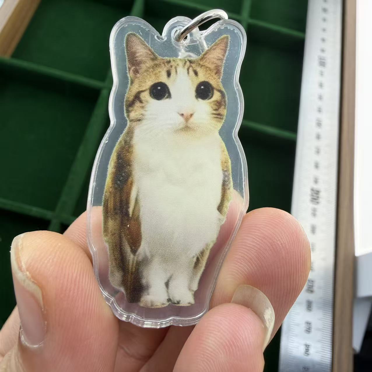Funny Standing Meme Cat Acrylic Keychain, Cute Bag Charm