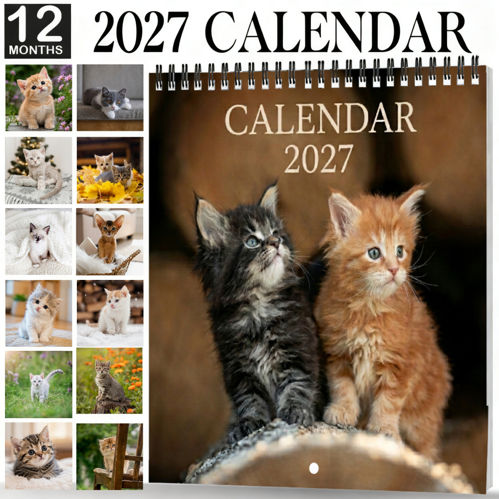TEMU Calendrier mural 12 mois 2027, chatons assis et jouant, légère et déroulante, facile à accrocher, pression, dates imprimées en grand, cadeau