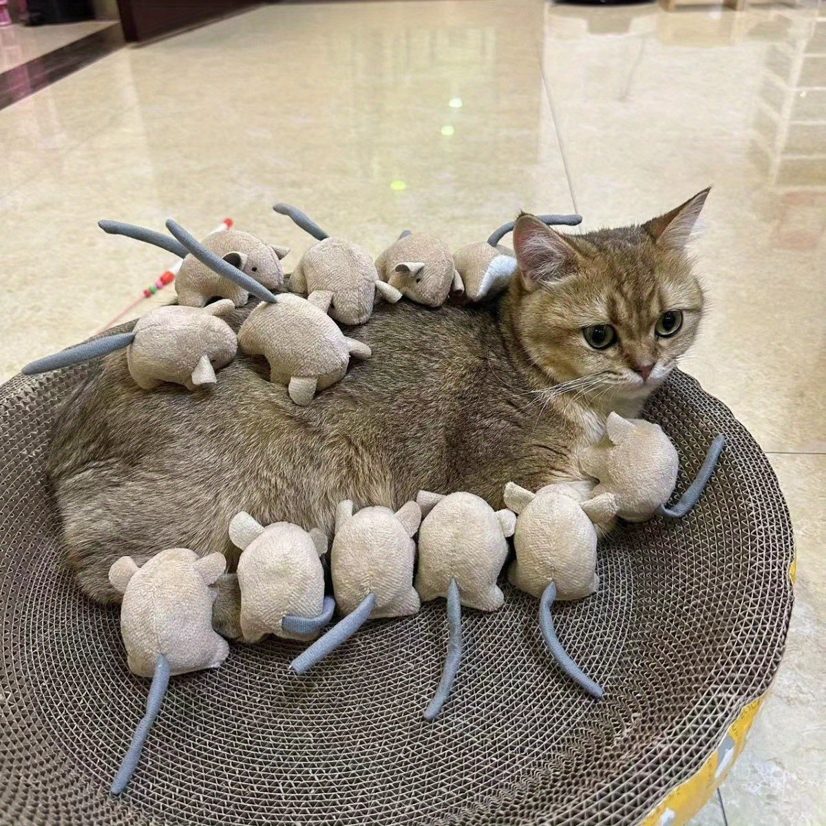 juguete interactivo gatos ratones gatitos ratones lana Temu Spain