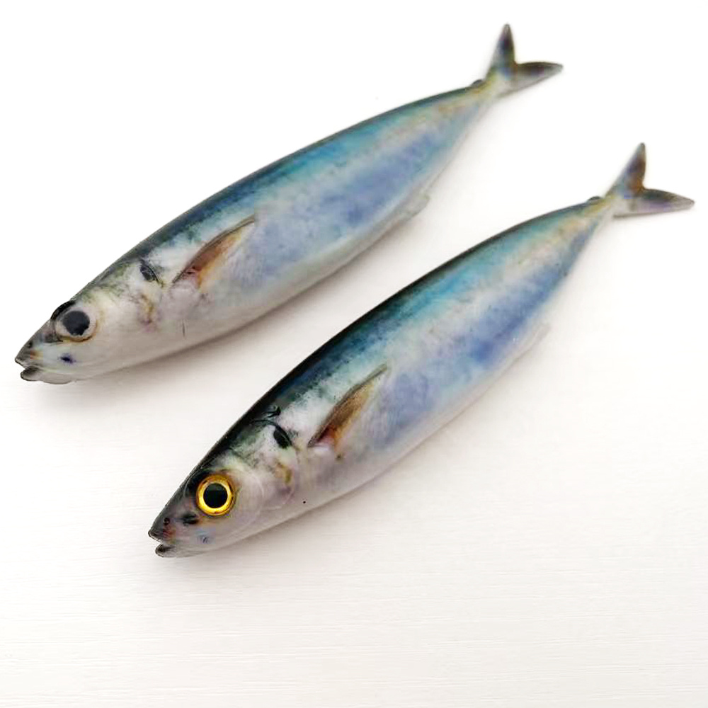 E-shop 2 Stück LUREGO 3D-gedrucktes, fischförmiges, weiches Köderkörper, künstliches Köder, 15 cm, verheddernicht, mehrere Schwimmaktionen,