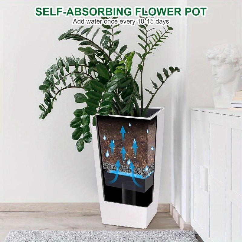spider plant pot Chlorophytum 'Spider Plant', in 4" grower's pot  Botanologica