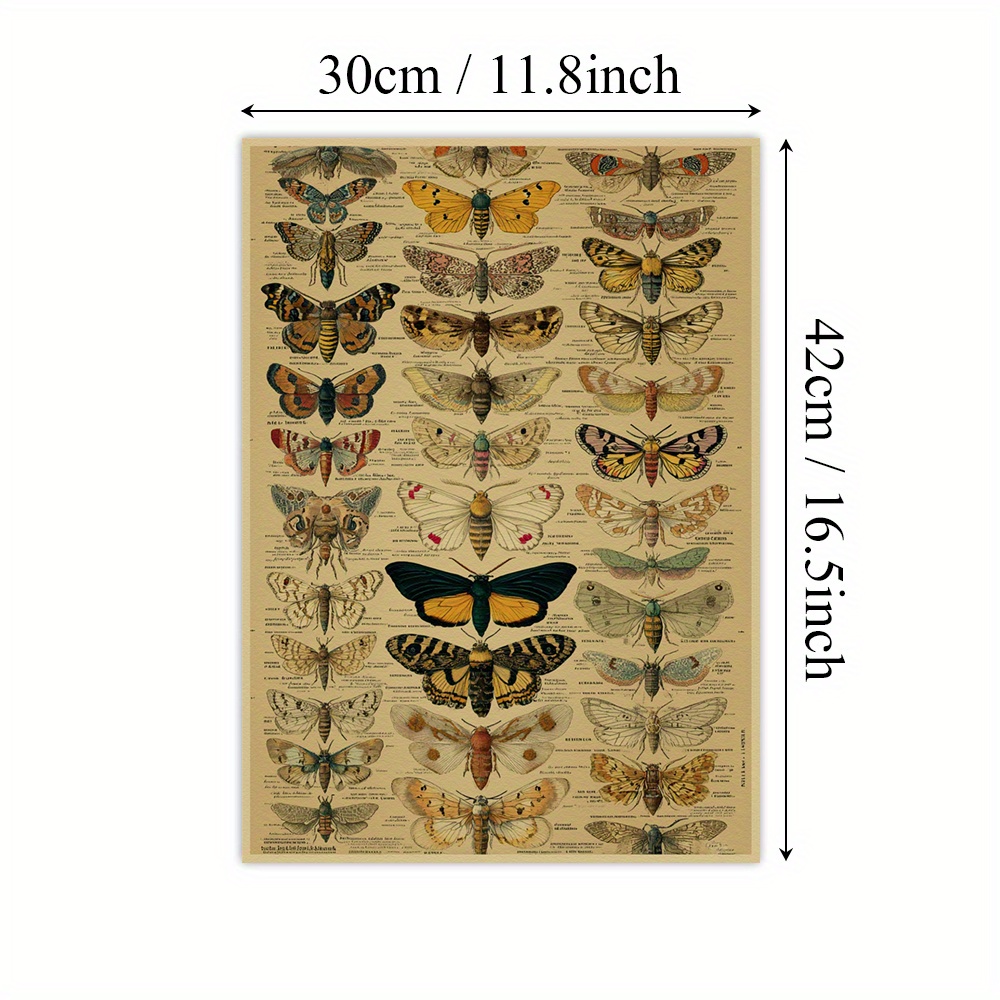 TEMU 1pc Vintage Moths Wall Art Poster - Vibrant Exotic Wings Painting On Paper, Botanical Insect Decor With Labeled , Palette Print For Living Room,