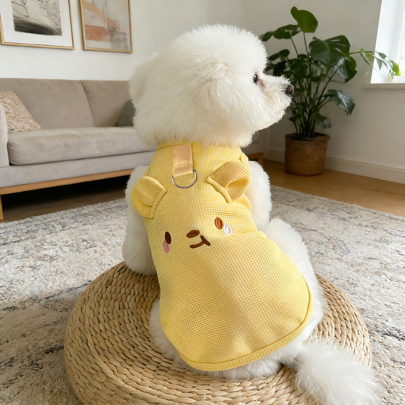 2pcs Spring Summer Clothing Set for Small to Medium Dogs