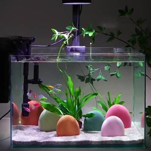random landscaping decoration colorful natural pebbles bottom avoid stacked stones