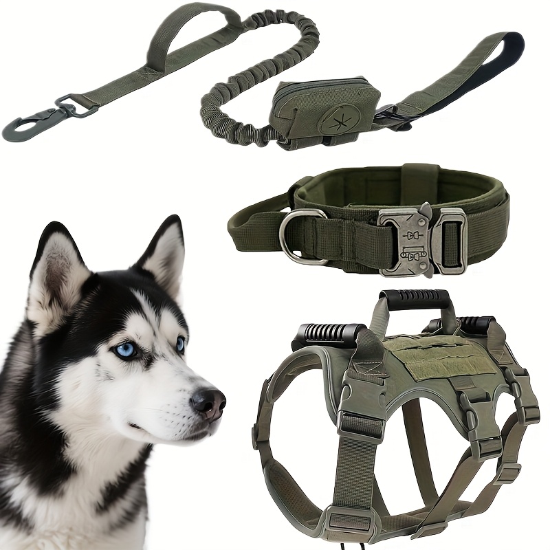 Professional-Grade All-Weather Pet Essentials Bundle