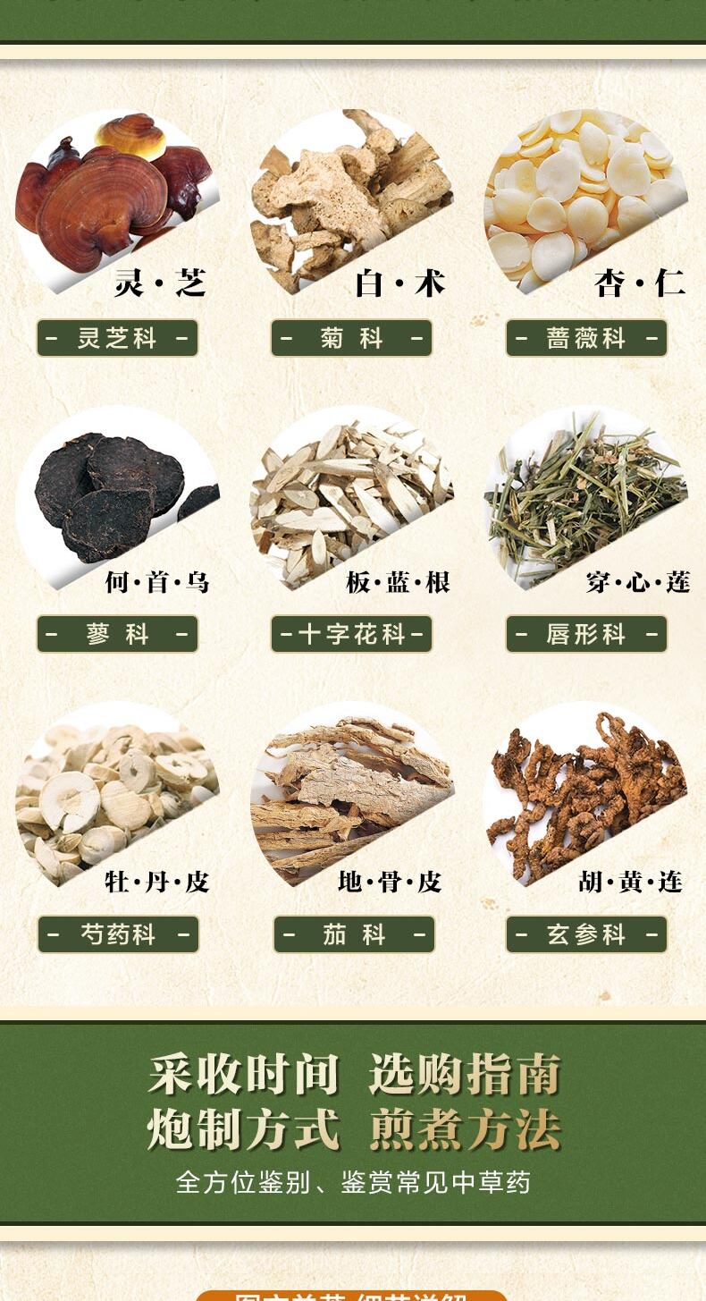 中国薬草図鑑シリーズ 新版 中国語版 - - temu Temu Japan
