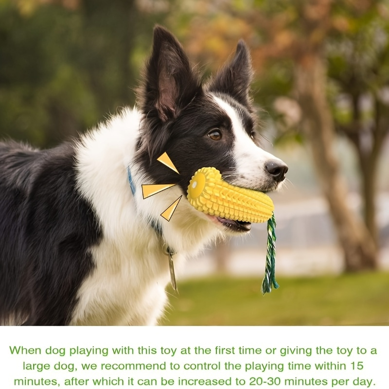 Indestructible Rubber Chew Toy for Medium Aggressive Chewers
