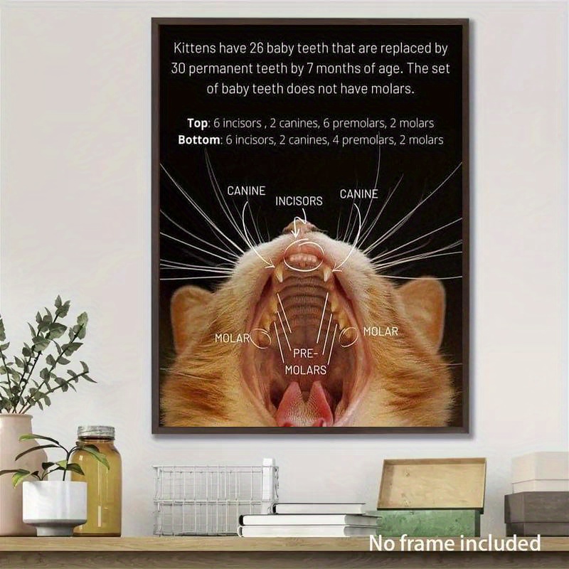 1pc whimsical cat teeth anatomy canvas art poster 11 8x15 Temu