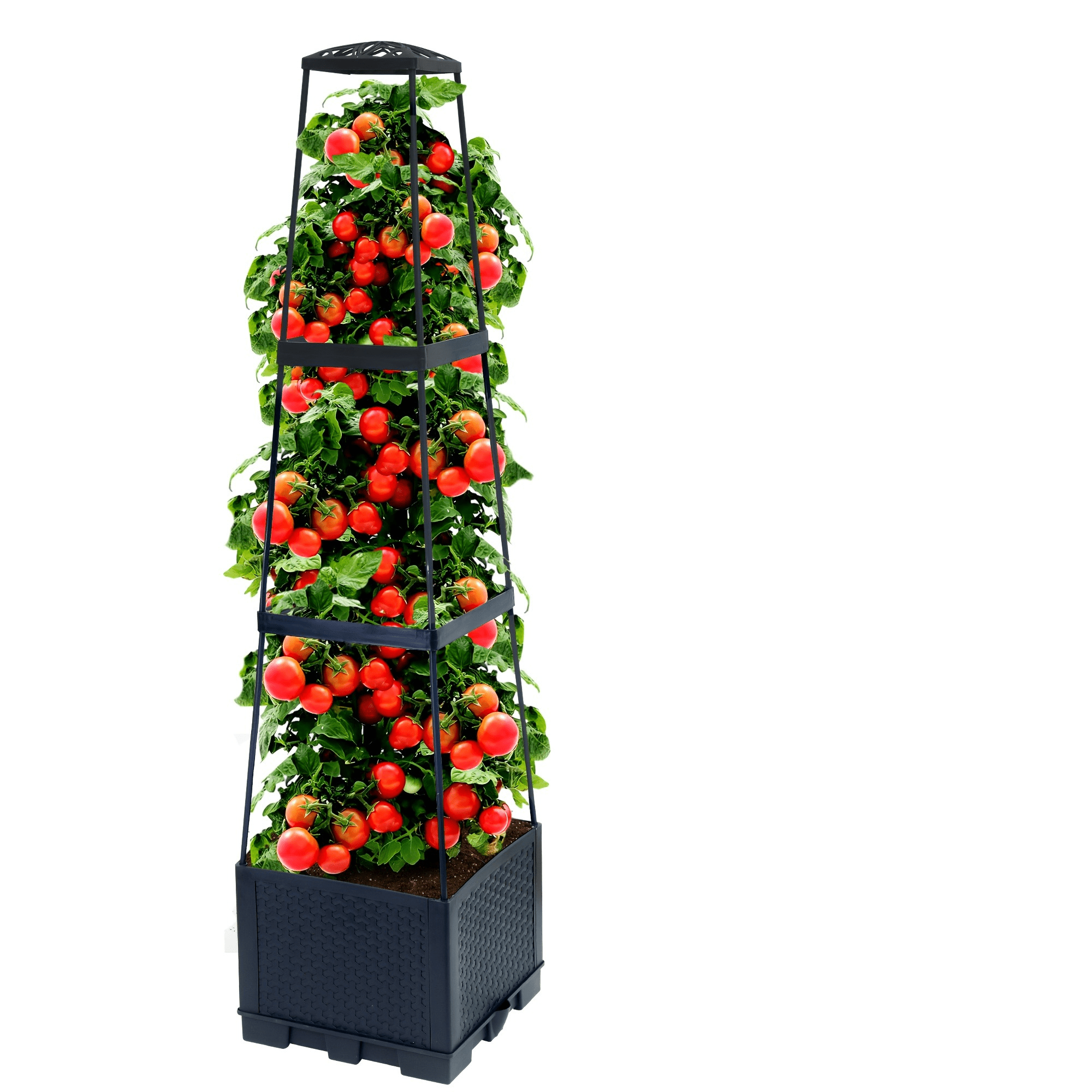 E-shop Tomaten-Anzuchsbox für Garten, Innen- Außenbereich, 44,8 Zoll, mit selbstbewässerndem Tomatenspalier aus Netzgewebe, mit -Netz für