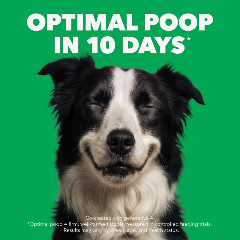 safematerial     dry dog food, chicken  , 3.31lb pet   Product details 2