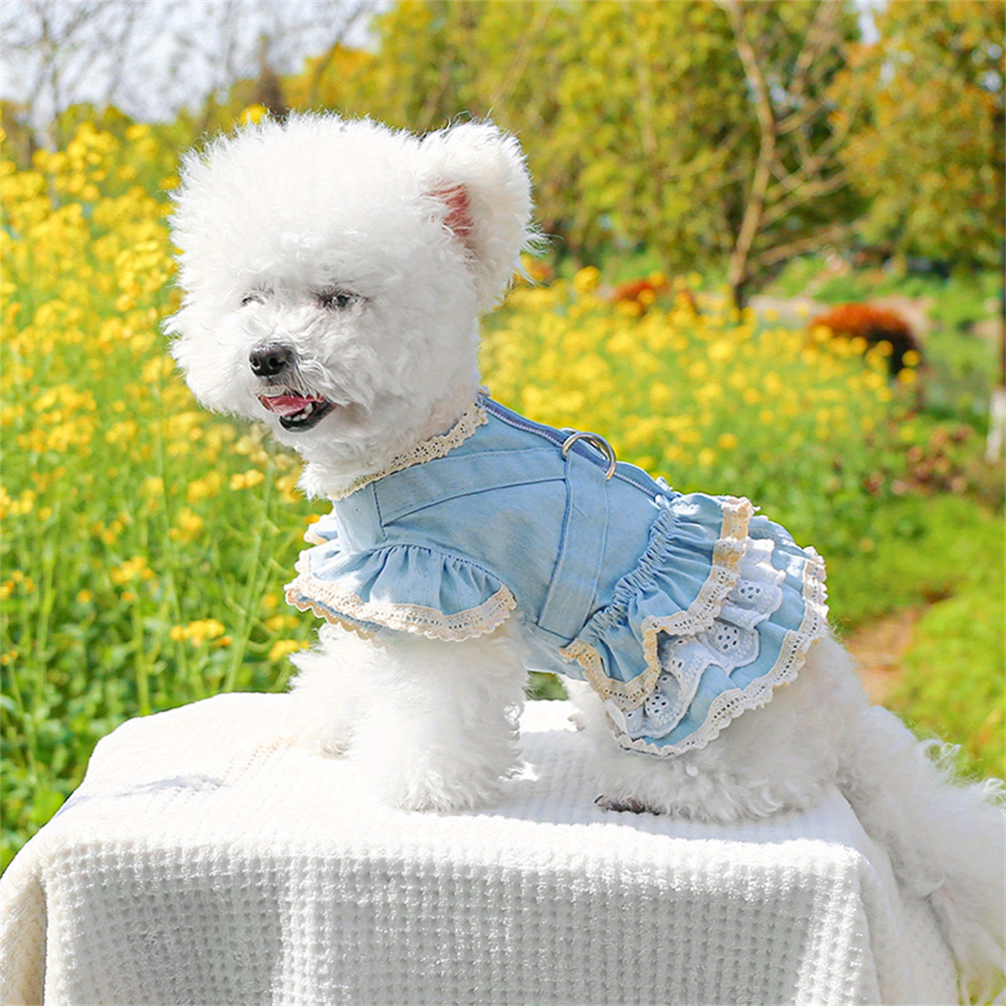 dog denim dresses small dogs girl outfit apparel female cute - Temu
