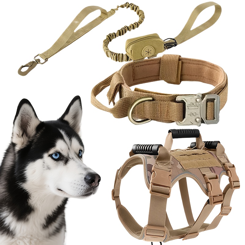 Professional-Grade All-Weather Pet Essentials Bundle
